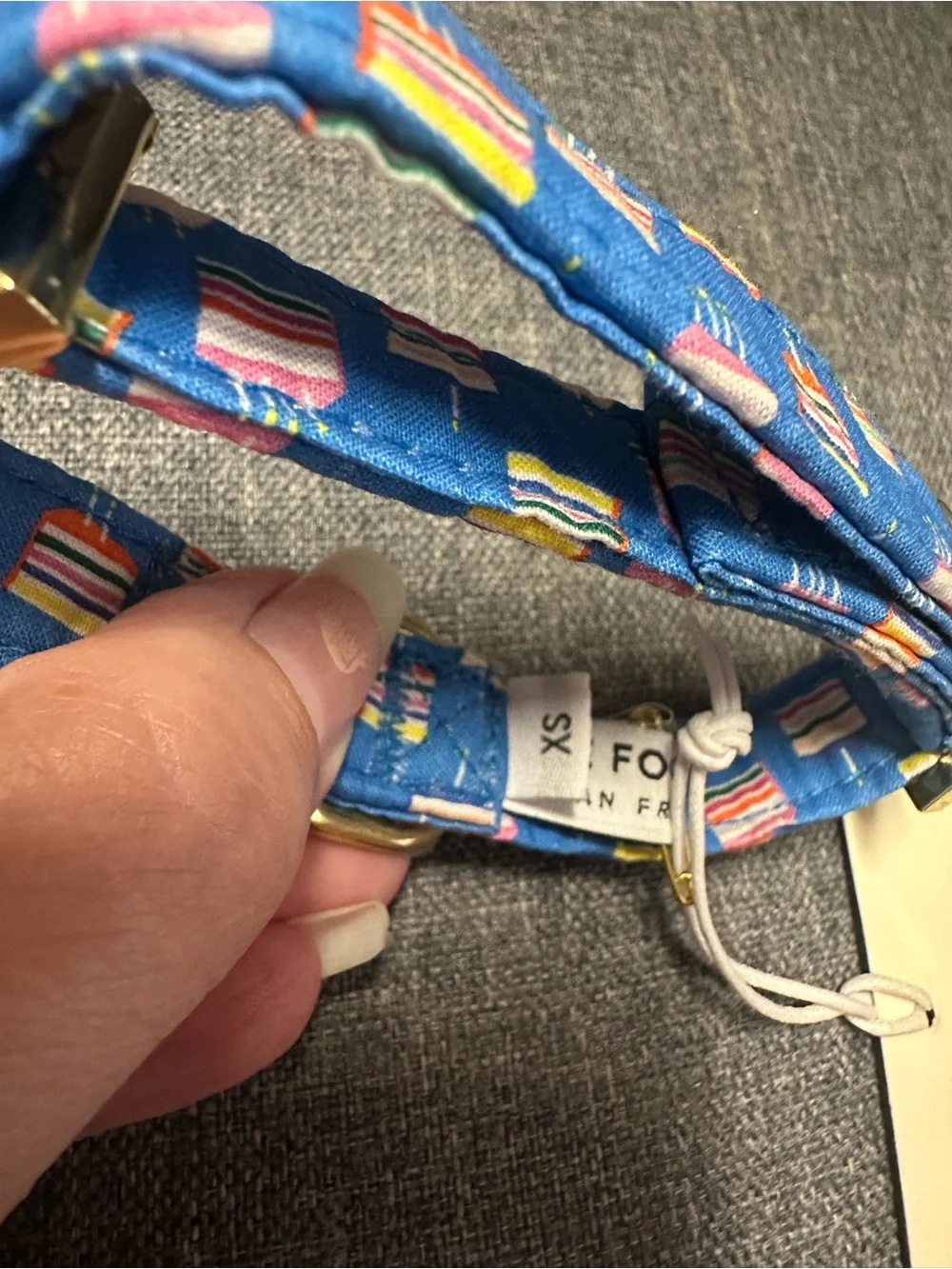 The Foggy Dog Make A Wish Birthday Dog Collar